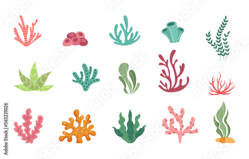 Ocean coral reef, cartoon underwater plants set. Simple summer diving, floral sea stickers, tropical doodle silhouettes fauna. Aquarium algae and kelp. Vector graphic tidy illustration