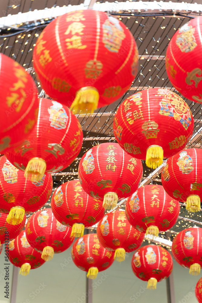 Chinese red lantern (Decoration for Chinese new year festival.)