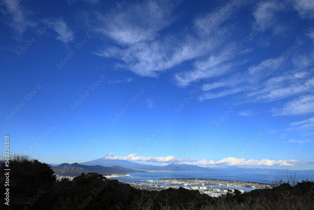 Obraz premium 日本平からの富士山 (静岡)