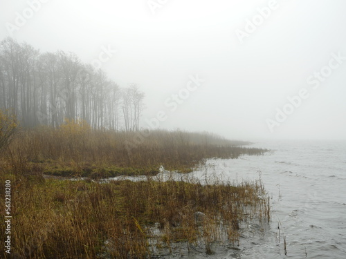 cold fog on the shore of the lake morning autumn landscape, white shroud