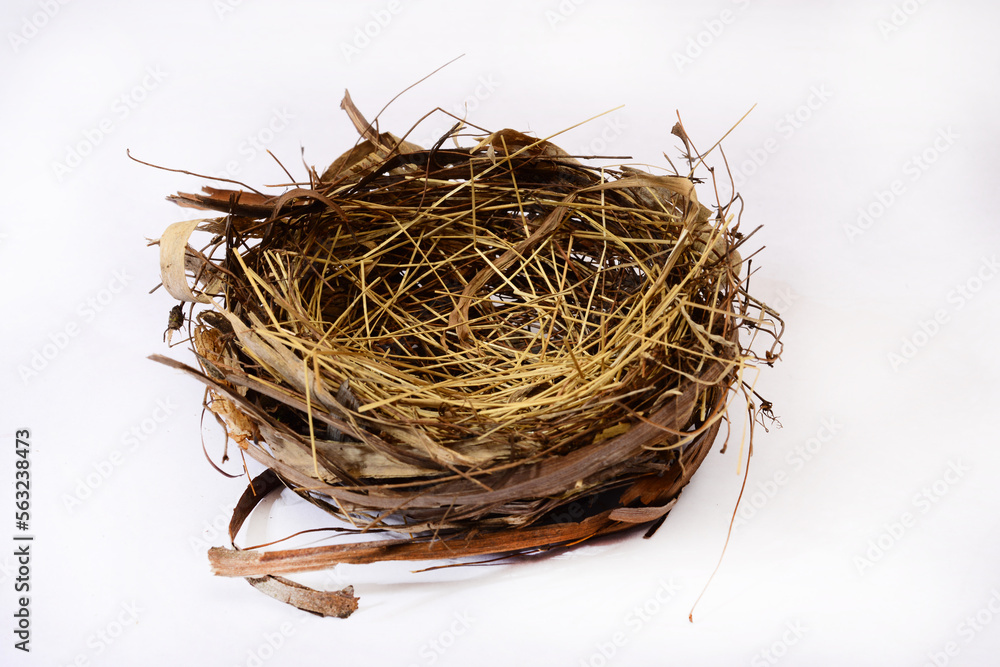 Obraz premium original bird's nest. A real bird's nest made by a bird from dried plant parts. on a white background.