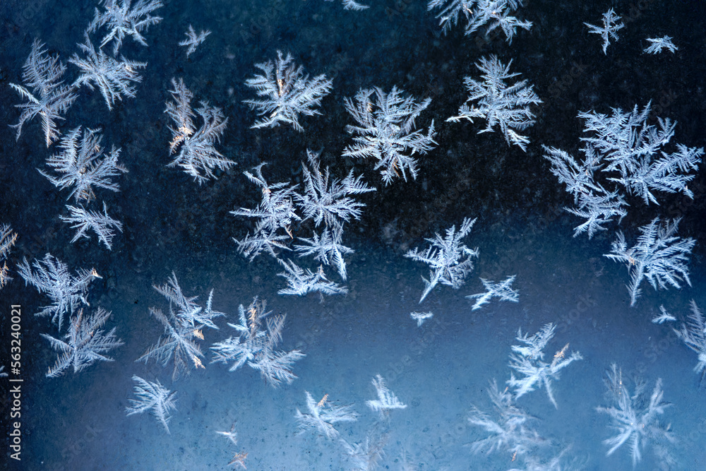 Beautiful ice flowers on glass at winter day morning at City of Zürich. Photo taken January 21st, 2023, Zurich, Switzerland. Beautiful ice flowers on glass at winter day morning at City of Zürich. Photo taken January 21st, 2023, Zurich, Switzerland.