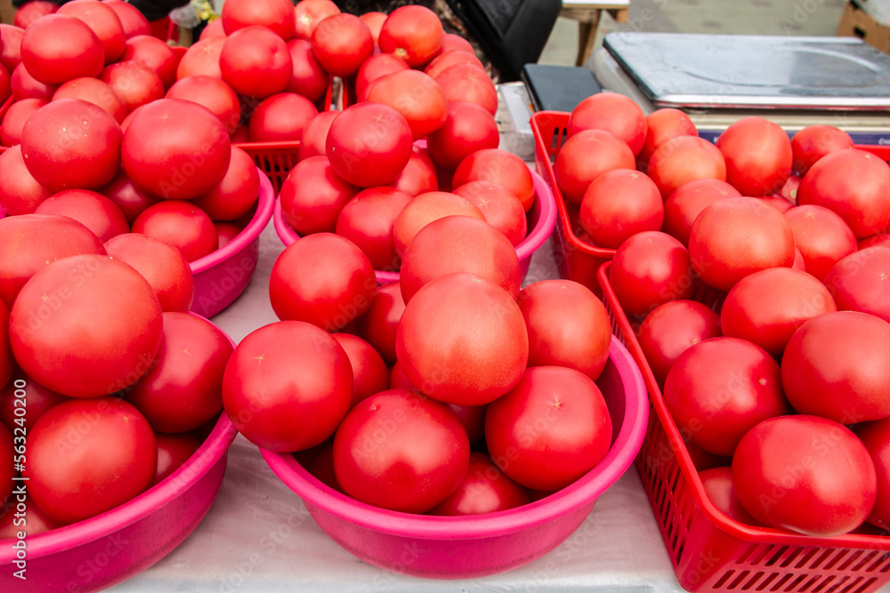 Lots of red tomatoes in plastic on the counter. Sale of tomatoes at the farmers' market. Red ripe tomatoes.