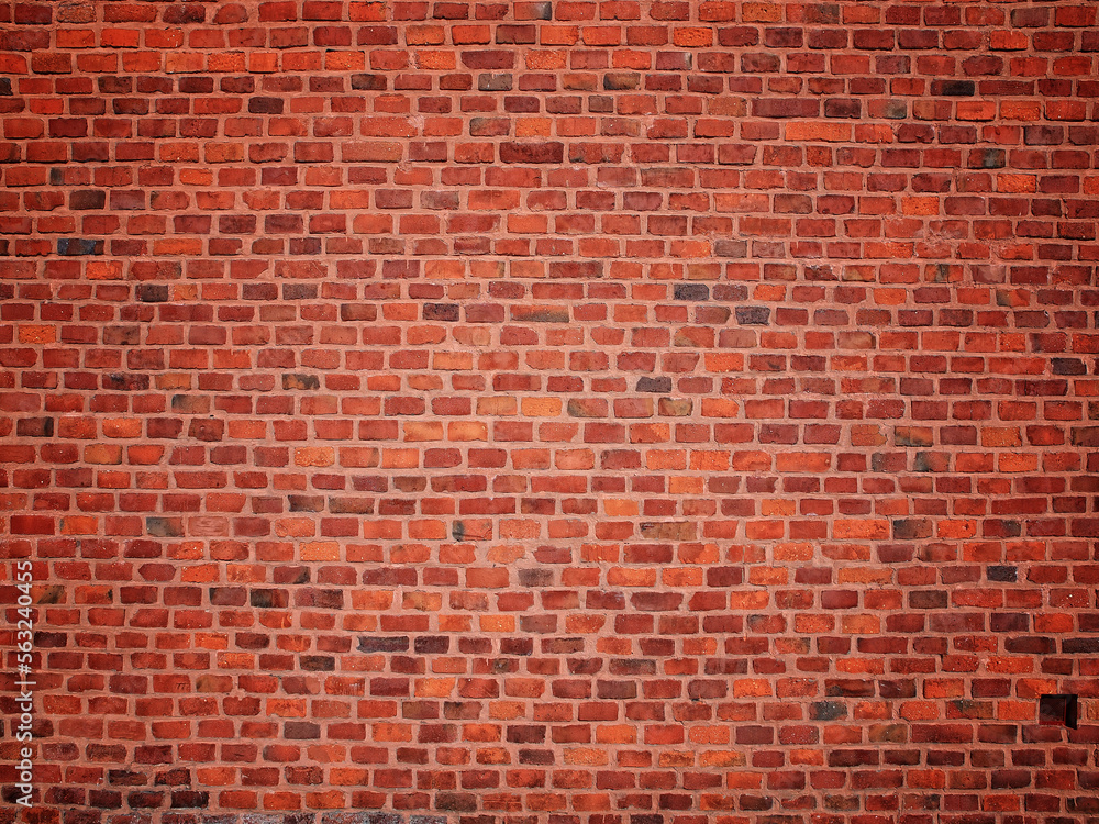 Blank old brick wall background
Blank old brick wall background