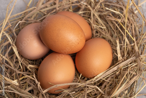Fresh chicken eggs in straw, gray background. Copy space.