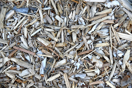 Sawdust and wood chips close-up. Wood chips as a background.
