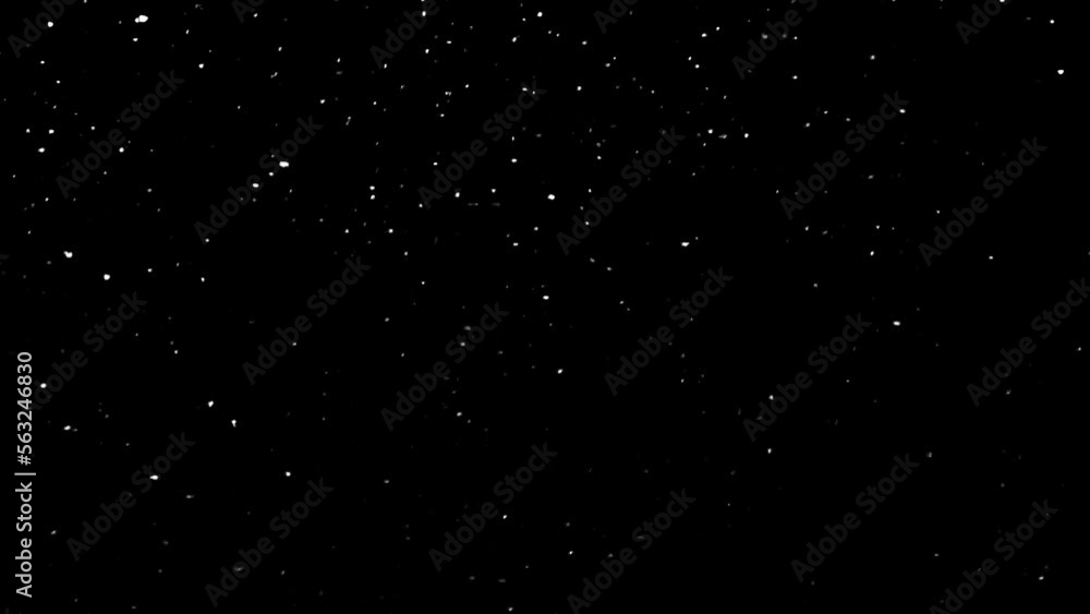 Winter real snow, Falling snow 60 fps, loop , black and white Winter real snow, Falling snow 60 fps, loop , black and white