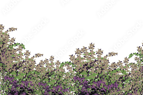 Ornamental green plant in the form of a hedge.Realistic garden shrub, seasonal bush, boxwood, tree crown bush foliage.For decorate of a park, a garden or a green fence.