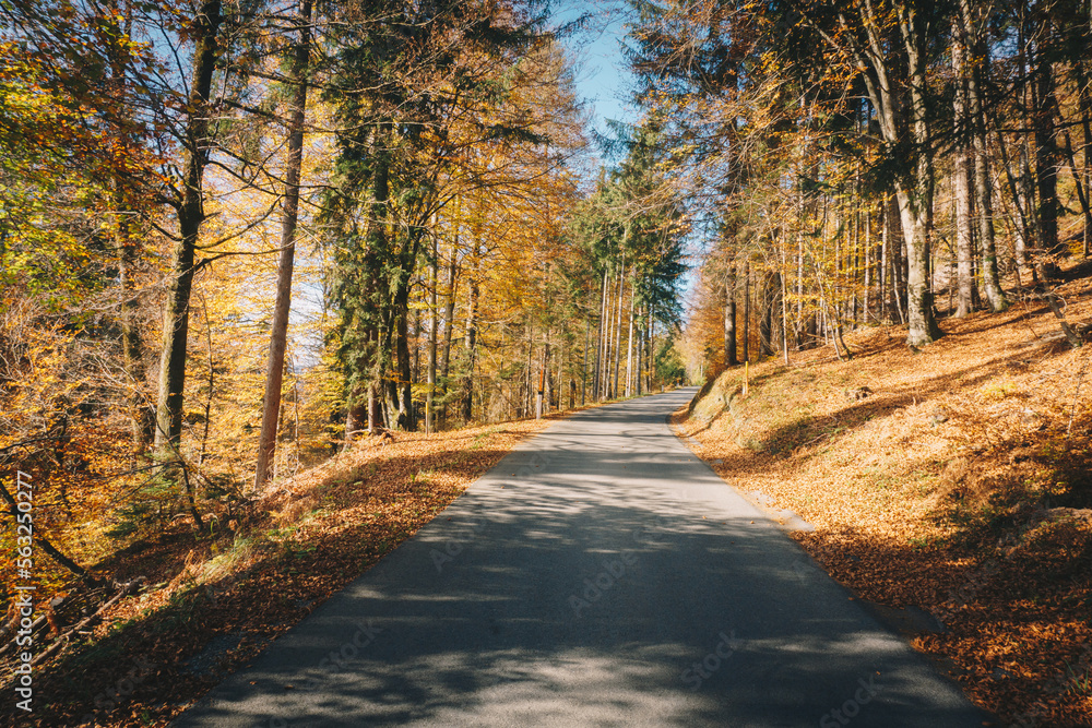 Obraz premium Country mountain road in Carinthia, Austria during autumn