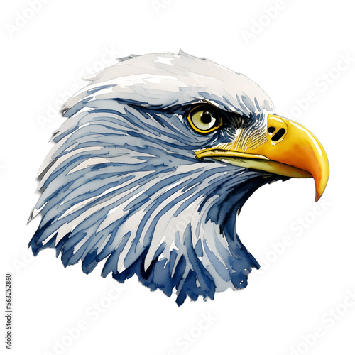 bald eagle head digital drawing with watercolor style illustration