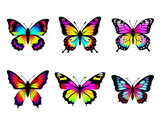 A Set of 6 Flat Icons of Colorful Butterflies or Moths.  Isolated or Die Cut on Transparent Background.