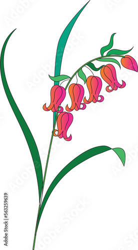 Convallaria majalis. Lily of the valley may. Flowers and leaves of the Lily of the valley. Set for spring design of postcards, maps, posters. Vector illustration. photo