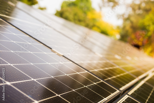 Autumn trees are reflected on the surface of several solar panels