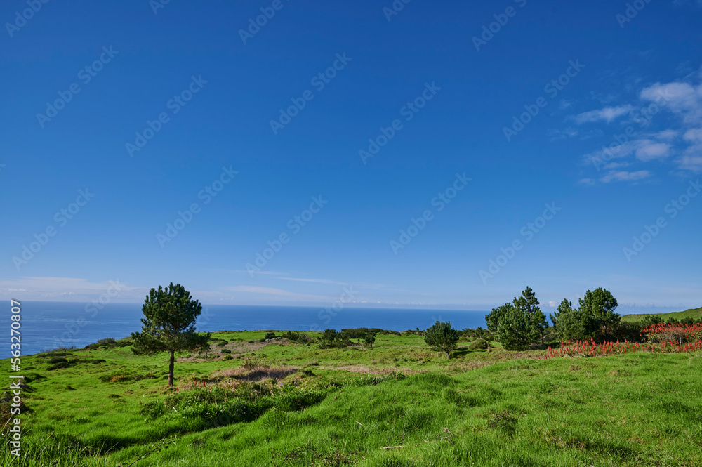 Atlantic Ocean and green meadow with trees near Porta do Pargo,  Calheta, Madeira, Portugal