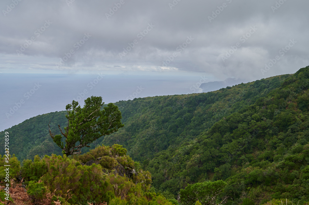 Cloudy landscape with ocean and green trees, Madeira, Portugal, Europe