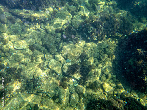 Fondale marino isola Bella Taormina