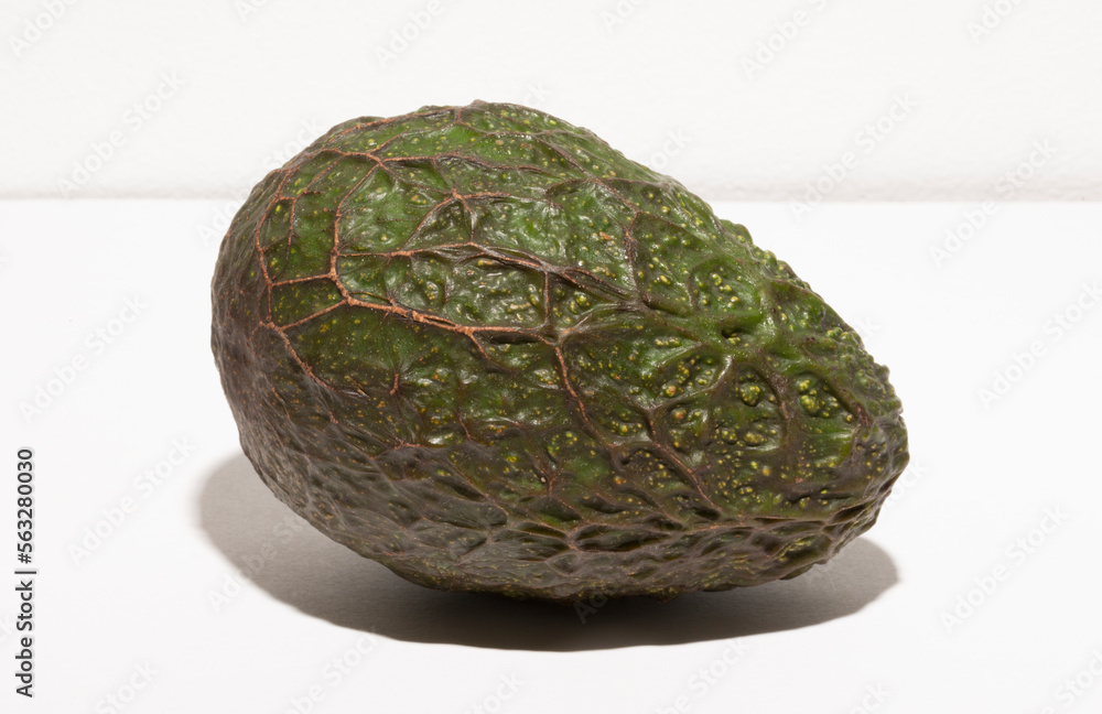 Fototapeta premium Avocado or alligator pear (Persea americana) on a white background.