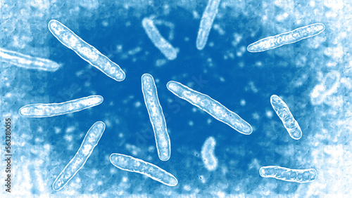 Bacteria Mycobacterium tuberculosis, 3D illustration photo