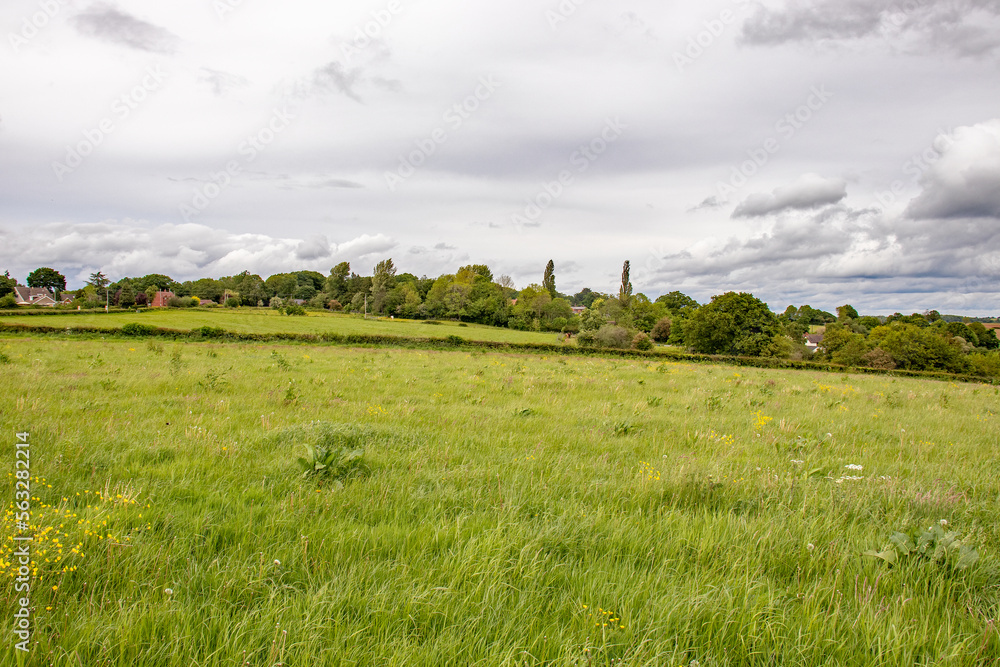 Landscape with field and sky Landscape with field and sky