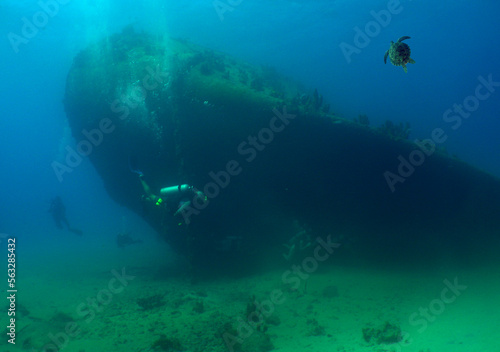 a diver and a sea turtle in a sunken ship