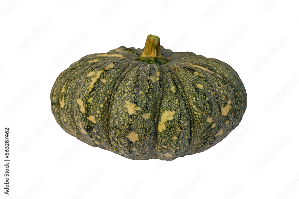 Whole green pumpkin isolated on white background included clipping path. Whole green pumpkin isolated on white background included clipping path.