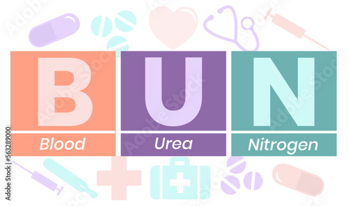 BUN - Blood Urea Nitrogen acronym. medical concept background. Vector illustration for website banner, marketing materials, business presentation, online advertising
