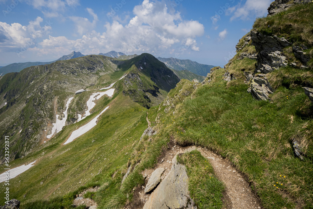 Obraz premium NARROW MOUNTAIN PATH