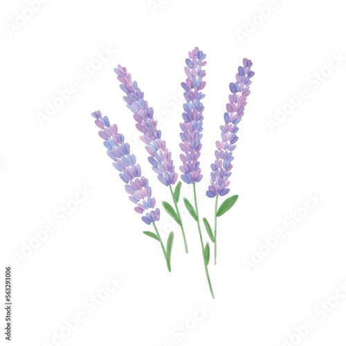 set of black and white flowers. Isolated flower on the white background. Vector EPS 10
