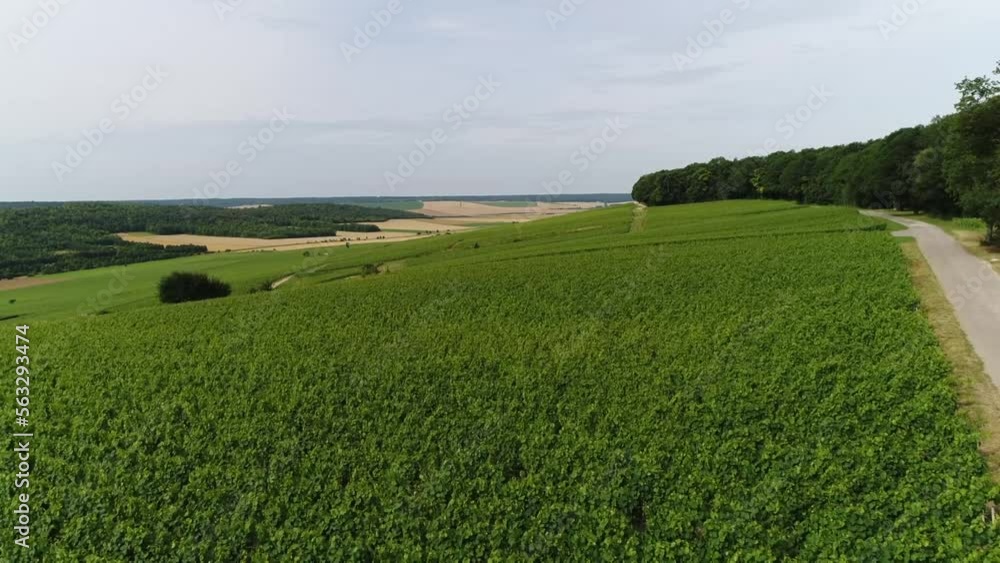 Vue aérienne vignobles, vignes - Seine et Marne - France Vue aérienne vignobles, vignes - Seine et Marne - France
