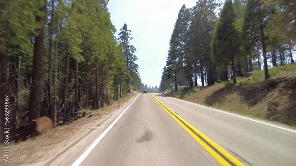 Kings Canyon Scenic Byway East Section 09 Eastbound Multi Camera Rear View Alpine Forest Driving Plate Sierra Nevada Mts California USA Kings Canyon Scenic Byway East Section 09 Eastbound Multi Camera Rear View Alpine Forest Driving Plate Sierra Nevada Mts California USA
