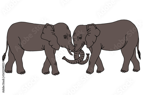 Fototapeta Naklejka Na Ścianę i Meble -  Two elephants. Vector stock illustration eps10.