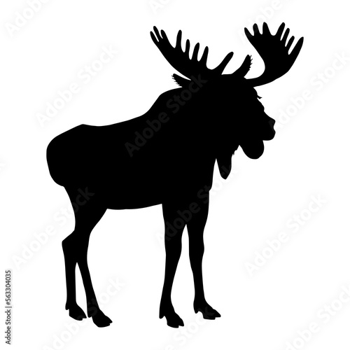 Moose silhouette. Vector stock illustration eps10. © Yevheniia
