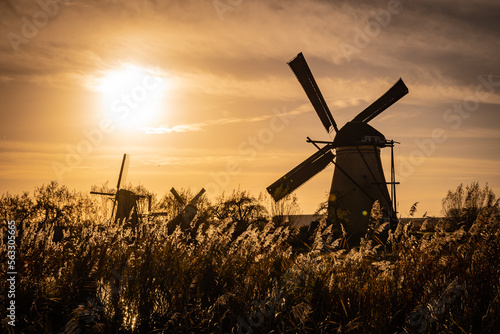 sunset silhouette of iconic windmills in Kinderdijk Netherlands. Landmark functional buildings originally made to pump flood water out of low land polder to preserve farm land reclaimed from the sea