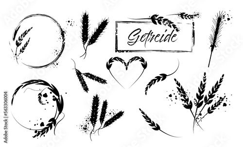 Grain plants silhouettes and cereal bowls. Coffee cups, beans and breakfast elements. Wheat, barley and ears of corn. Vector sketch illustration for food packaging design template.