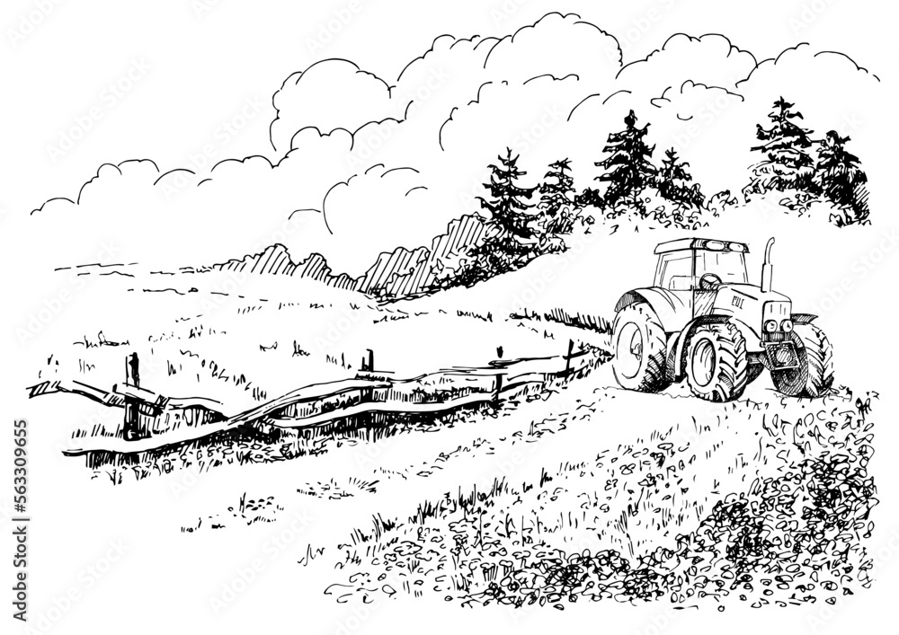 Rural scenery. Meadow, alkali, lye, grassland, pommel, lea, pasturage, farm. Rural scenery landscape panorama of countryside pastures. Vector sketch illustration
 - obrazy, fototapety, plakaty 