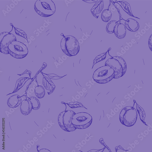 Plum seamless pattern design. Vintage sketch vector. Easy color change. Transparent background