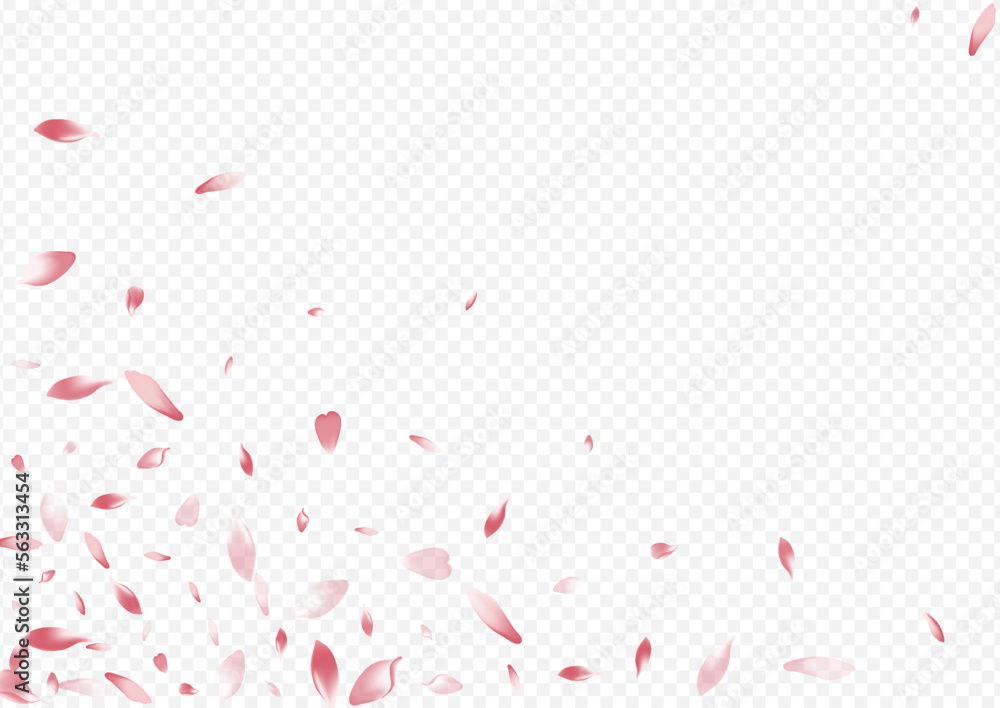 Pink Apple Vector Transparent Background. Petal