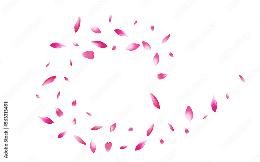 Color Cherry Petal Vector White Background. Pink