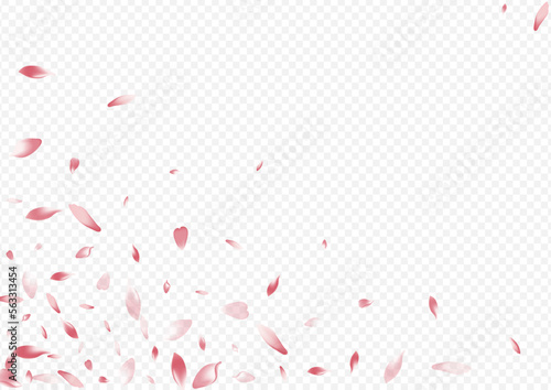Pink Apple Vector Transparent Background. Petal