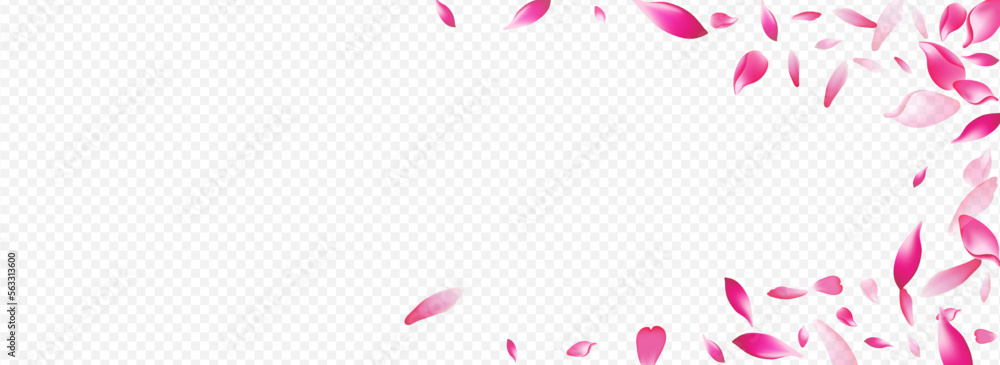 Bright Heart Vector Panoramic Transparent