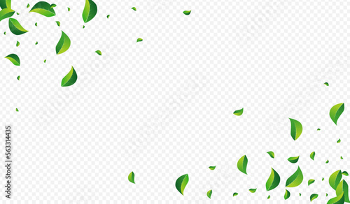 Green Leaves Fresh Vector Transparent Background.
