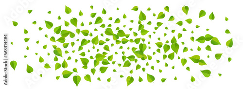Grassy Leaves Forest Vector Panoramic White
