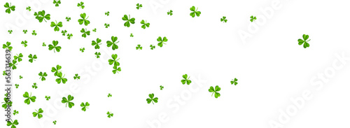 Olive color Clover Wind Vector White Panoramic