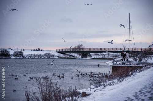 Couple feeding winter birds on Malmo canal, Sweden