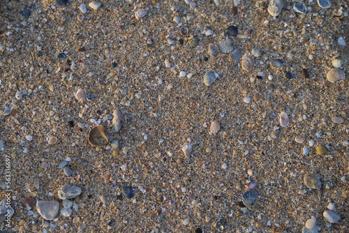 Black sea sand on the surface line