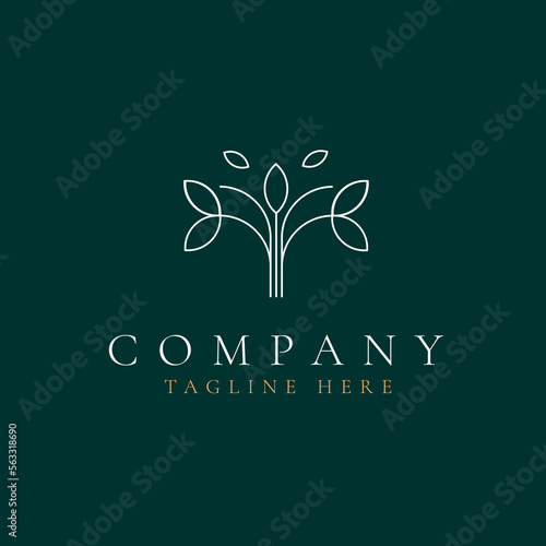 Leaf vector logo design with lines in minimalist style