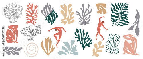 Fotografiet Set of abstract hand drawn organic shapes, exotic jungle leaves, female nude silhouettes, leaves and algae in trendy Matisse inspired art style