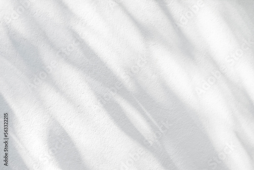 Wallpaper Mural Light and shadow of leaf abstract grey background. Natural shadows and sunshine diagonal refraction on white concrete wall texture. Shadow overlay effect for foliage mockup, banner graphic layout Torontodigital.ca