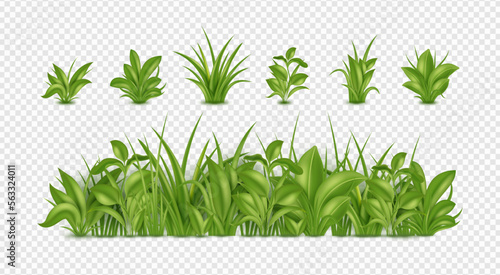3d green grass, garden weed. Realistic farm summer field for herbal landscape, sprouts in meadow, spring outdoor border. Botanical border and isolated 3d elements. Vector illustration set