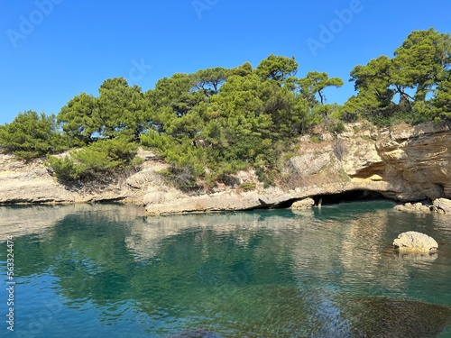 Sea, sky and rocks covered pine trees in summer.